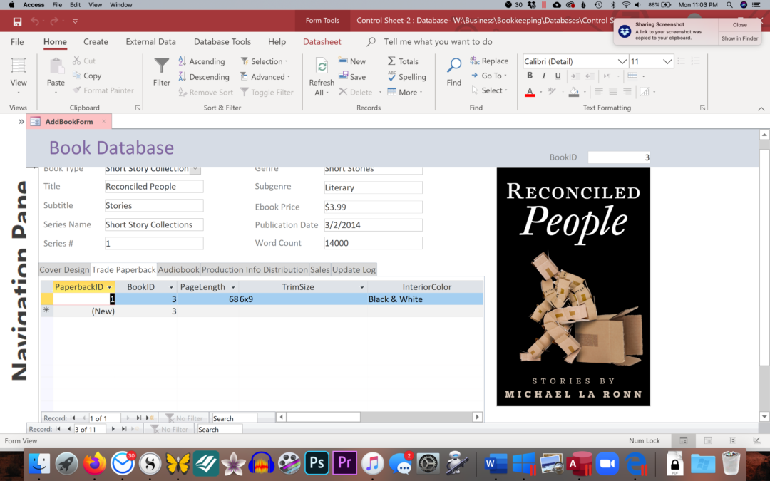 Building a Copyright Database, Part 4 - Author Level Up